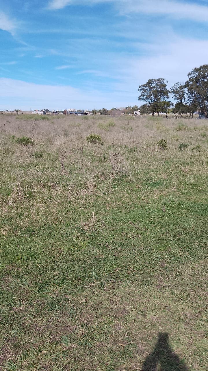 Segunda vista del entorno del lote 31
