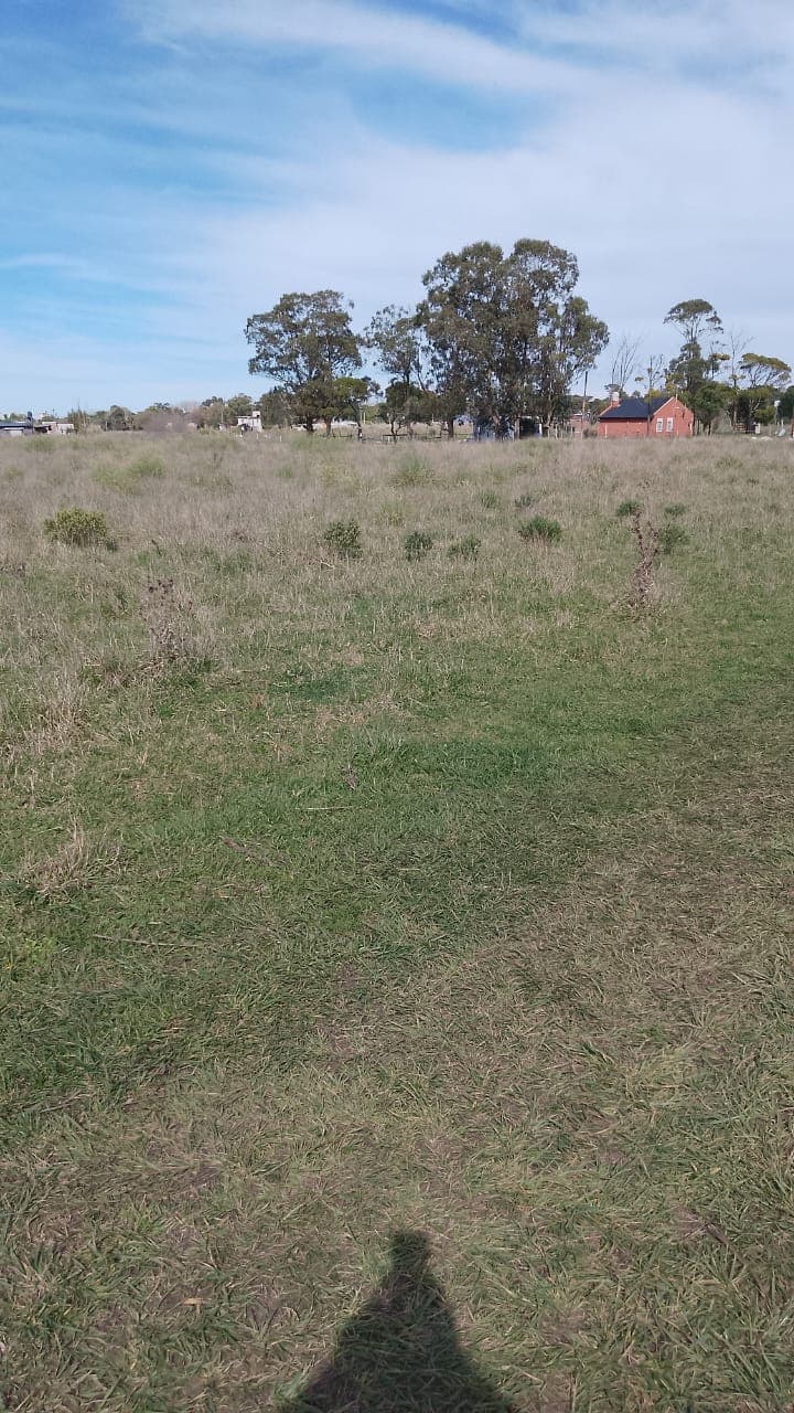 Tercera vista del entorno del lote 31
