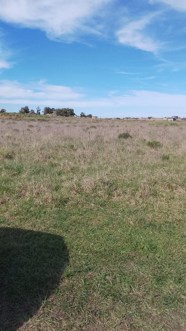 Vista del frente del lote 31