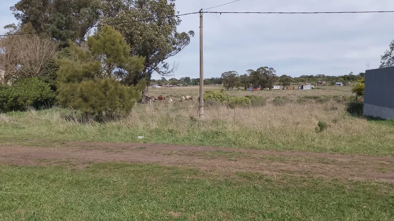 Vista del frente de los lotes 3, 4 y 5